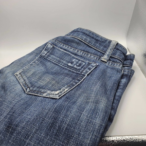 Joe's Denim Women's Size‎ W28 Jeans, DISTRESSED